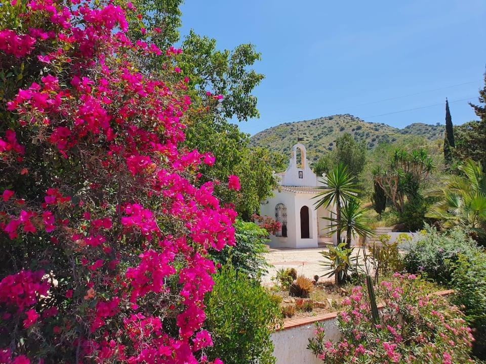 La Barranca De La Barca Bed and Breakfast Alora Exteriör bild